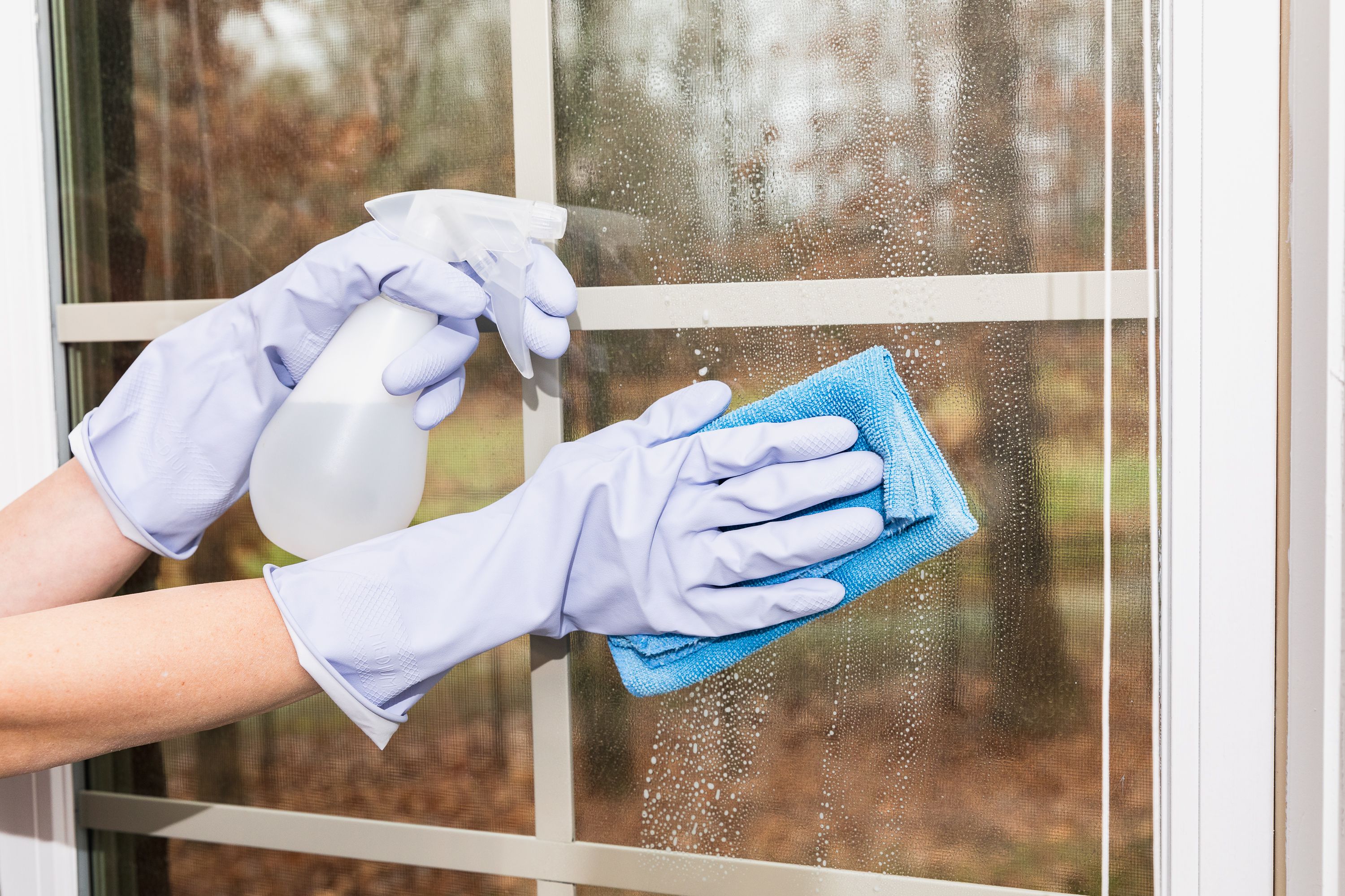Windows Cleaning Service