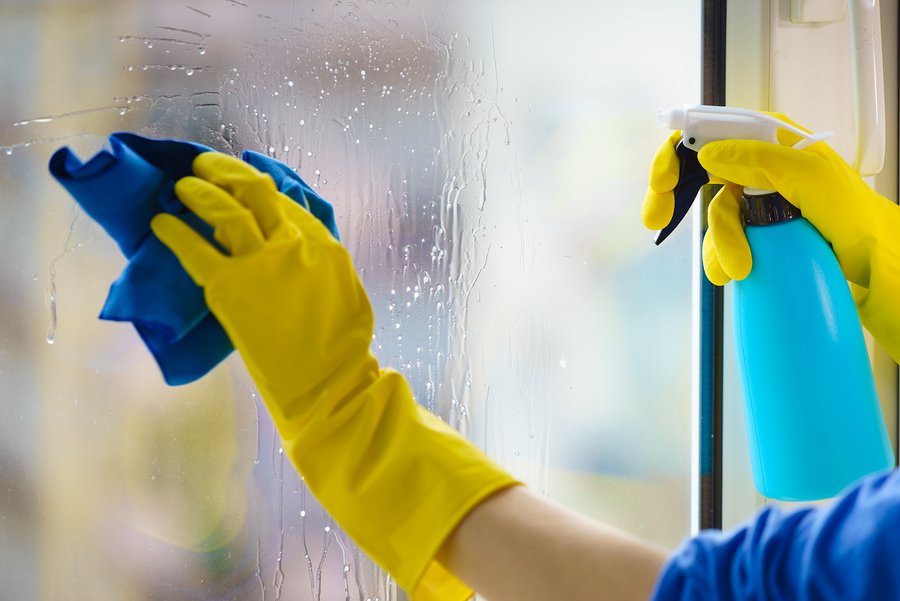 Windows Cleaning Service